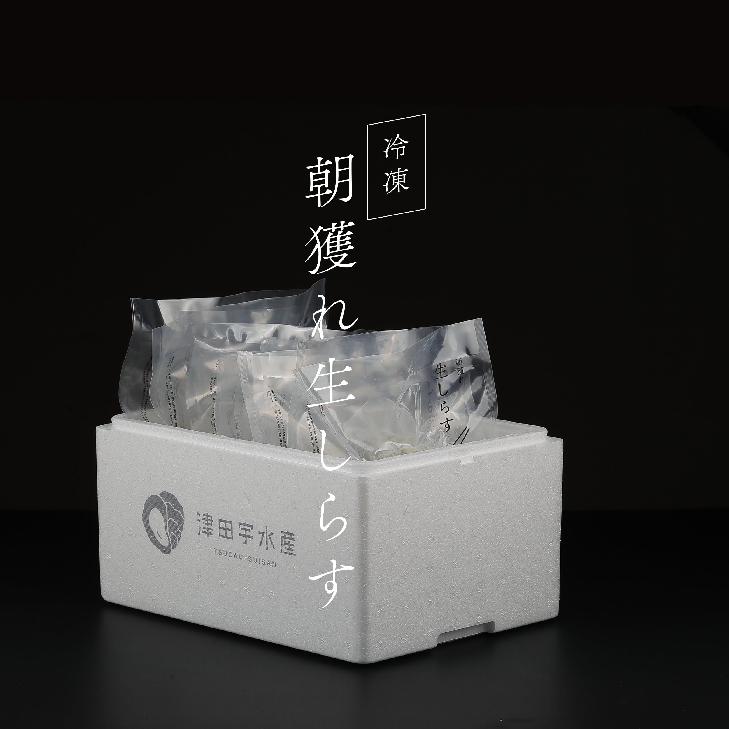 10shirasu_4d39b363-2359-4428-