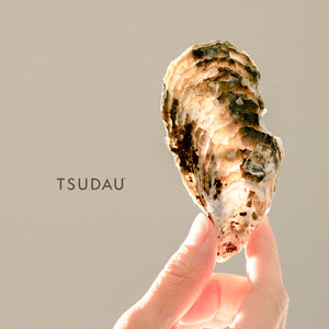 
                  
                    BB15 TSUDAUｵｲｽﾀ(50個)牡蠣ﾅｲﾌ付
                  
                
