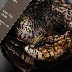 
                  
                    PREMIUMオイスター（１０個）牡蠣ナイフ付き
                  
                