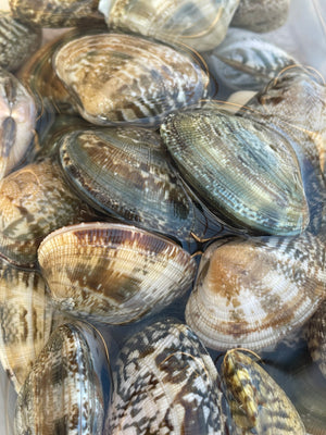 季節限定）「室津産」あさり（500g入り×3袋） – 津田宇水産