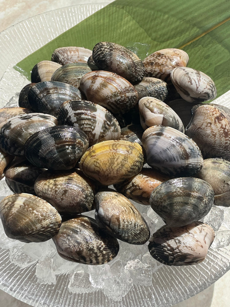 季節限定）「室津産」あさり（500g入り×3袋） – 津田宇水産