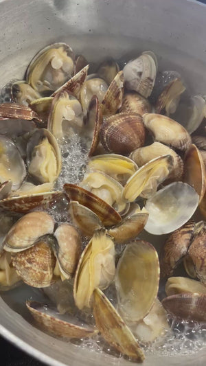 季節限定）「室津産」あさり（500g入り×3袋） – 津田宇水産